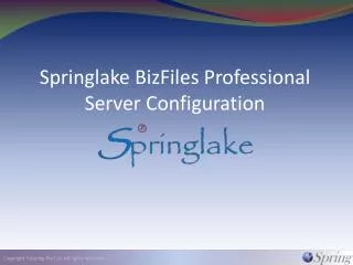 Springlake BizFiles Professional Server Configuration