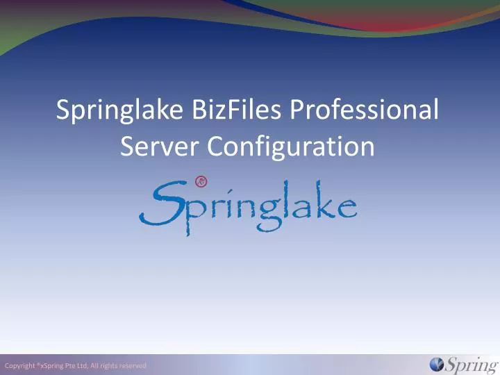 springlake bizfiles professional server configuration