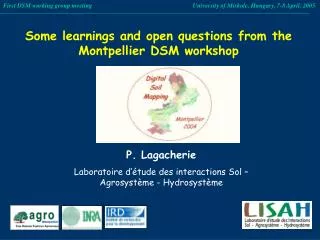 Some learnings and open questions from the Montpellier DSM workshop