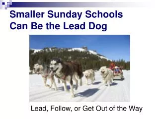 Smaller Sunday Schools Can Be the Lead Dog