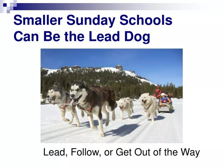 smaller sunday schools can be the lead dog