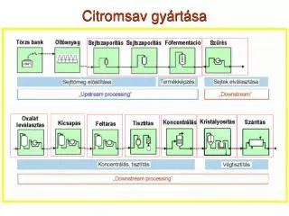 citromsav gy rt sa