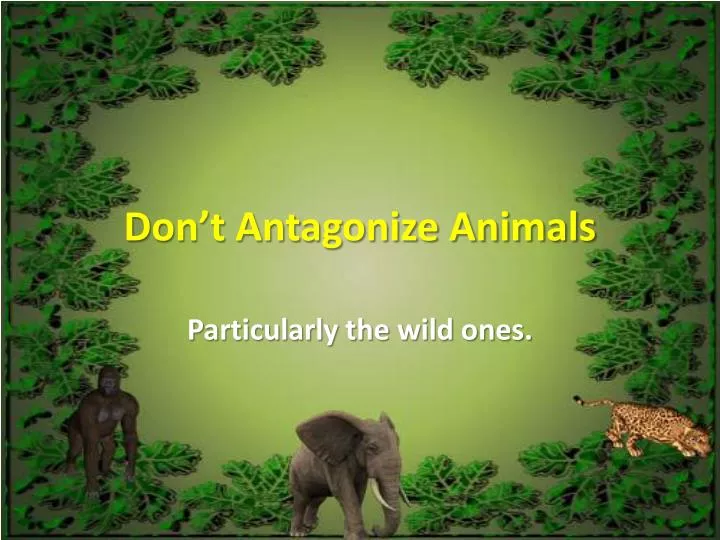 don t antagonize animals