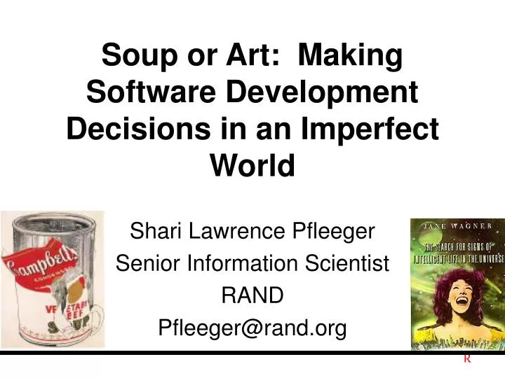 soup or art making software development decisions in an imperfect world