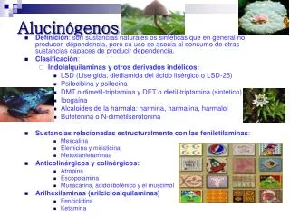 alucin genos