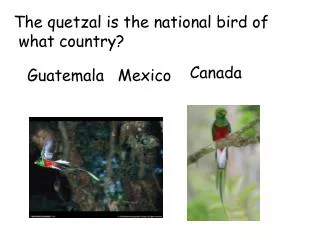 The quetzal is the national bird of what country?