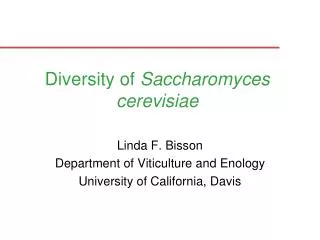 Diversity of Saccharomyces cerevisiae