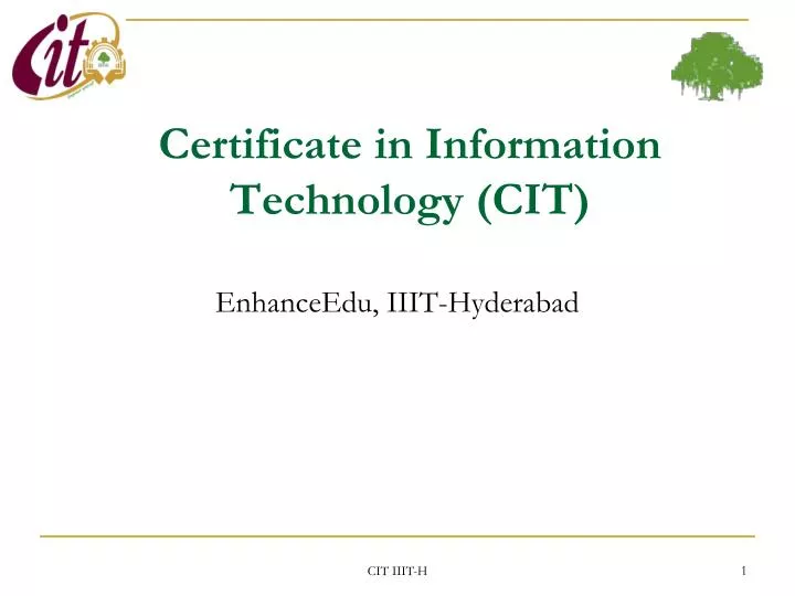 certificate in information technology cit