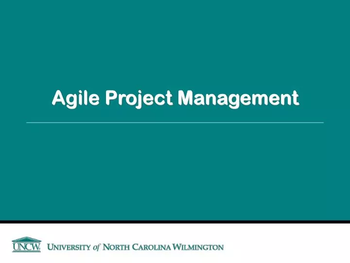 agile project management