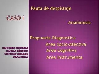 caso i
