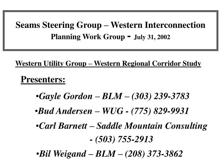 seams steering group western interconnection planning work group july 31 2002