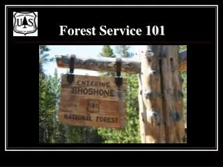 Forest Service 101
