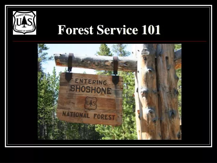 forest service 101