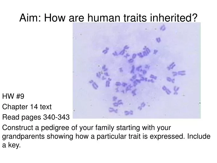 aim how are human traits inherited