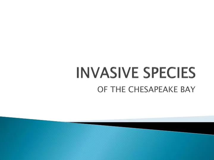 invasive species