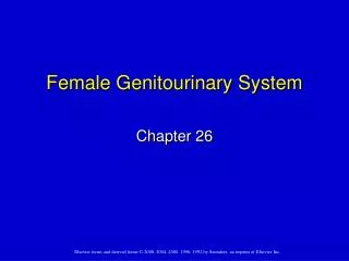 Female Genitourinary System