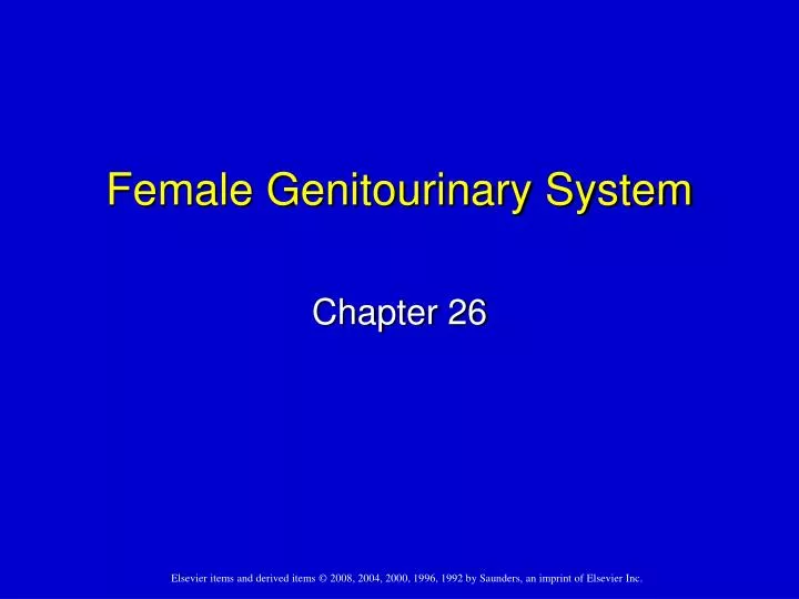 female genitourinary system
