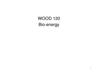 WOOD 120 Bio-energy