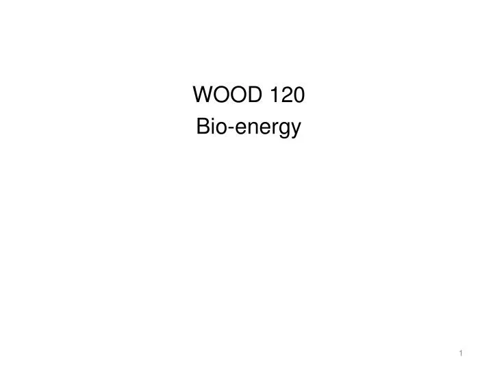 wood 120 bio energy