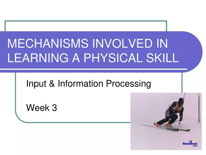 mechanisms involved in learning a physical skill