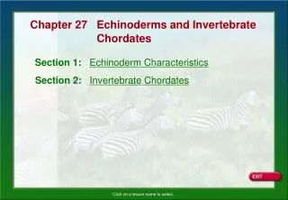 Section 1: Echinoderm Characteristics
