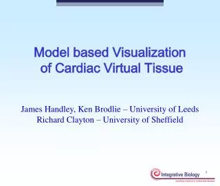 Model based Visualization of Cardiac Virtual Tissue