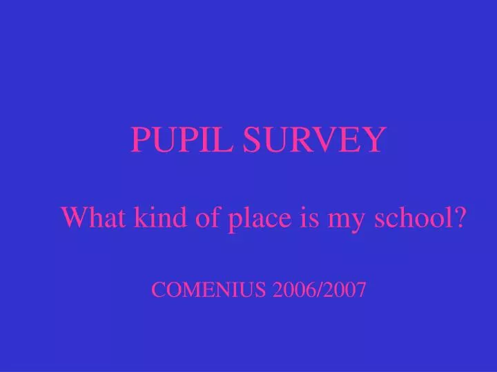 pupil survey what kind of place is my school comenius 2006 2007