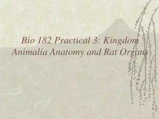 Bio 182 Practical 3: Kingdom Animalia Anatomy and Rat Organs
