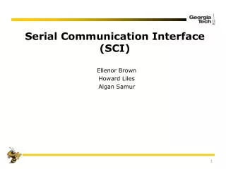 Serial Communication Interface (SCI)