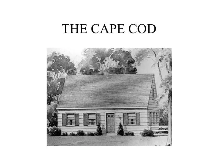 the cape cod