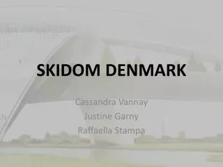 skidom denmark
