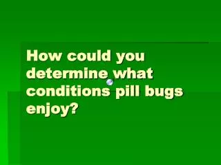 How could you determine what conditions pill bugs enjoy?