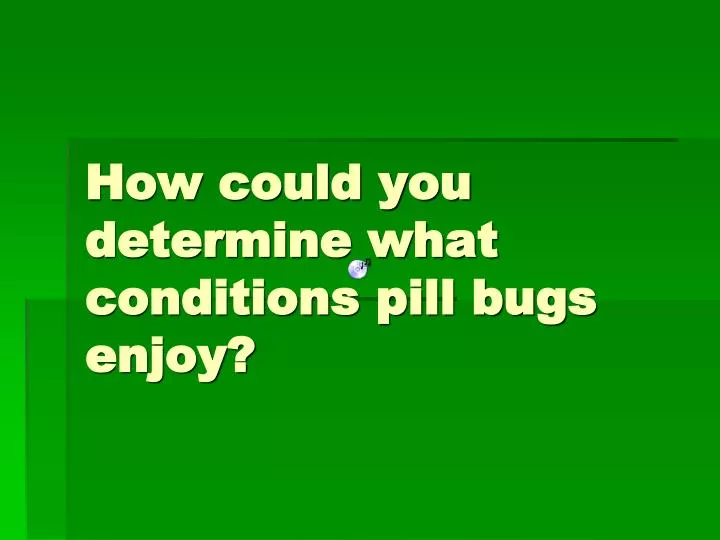 how could you determine what conditions pill bugs enjoy