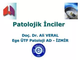 patolojik nciler