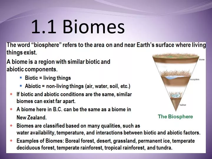 1 1 biomes
