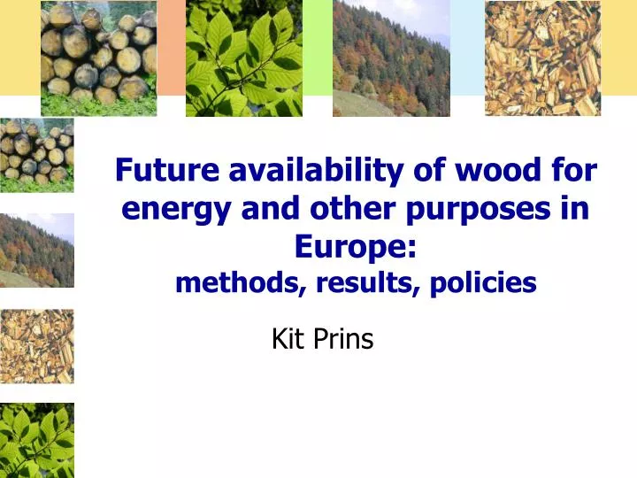 future availability of wood for energy and other purposes in europe methods results policies