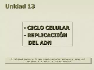 unidad 13