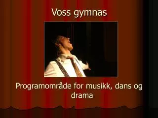 voss gymnas