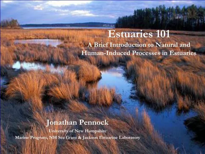 estuaries 101 a brief introduction to natural and human induced processes in estuaries