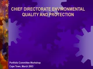 CHIEF DIRECTORATE ENVIRONMENTAL QUALITY AND PROTECTION