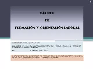 m dulo de formaci n y orientaci n laboral