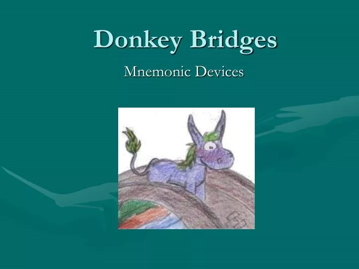 donkey bridges
