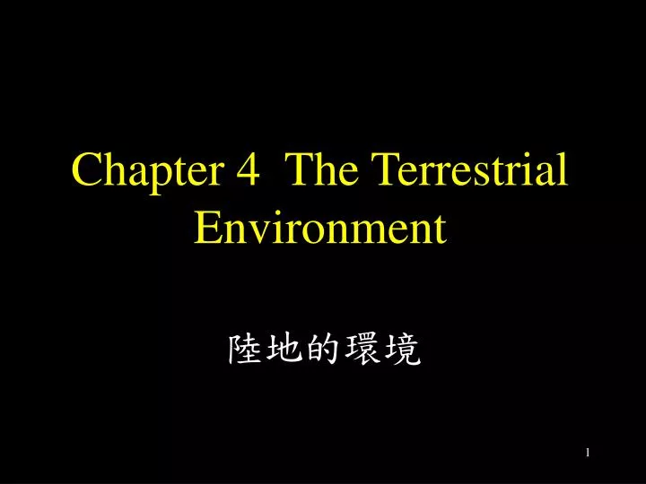 chapter 4 the terrestrial environment