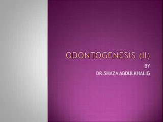 ODONTOGENESIS (II)