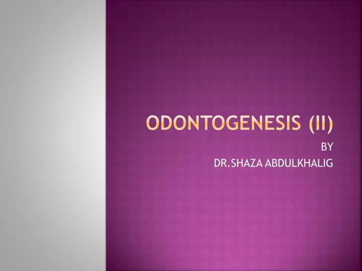 odontogenesis ii