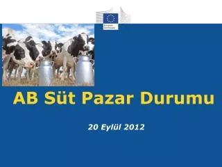 ab s t pazar durumu