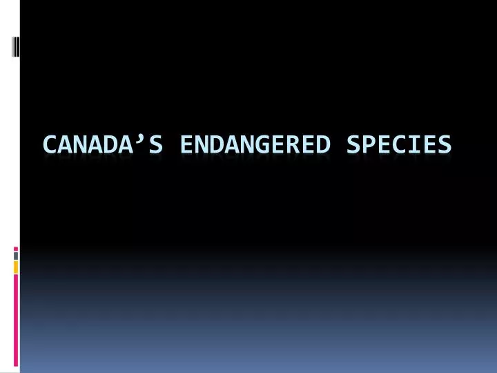 canada s endangered species
