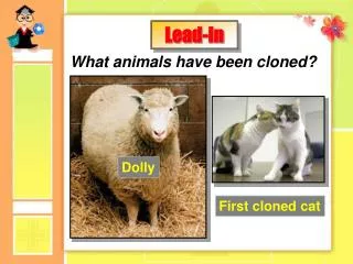 What animals have been cloned?