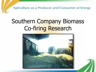 Southern Company Biomass Co-firing Research