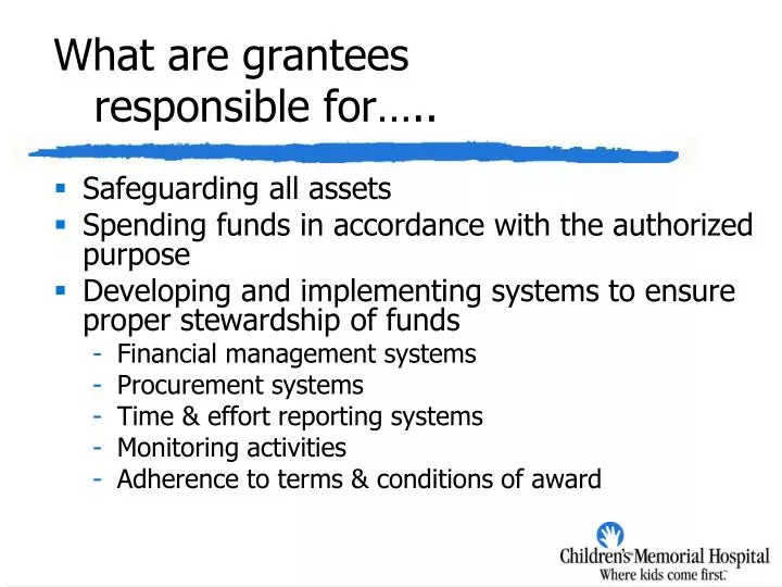 what are grantees responsible for
